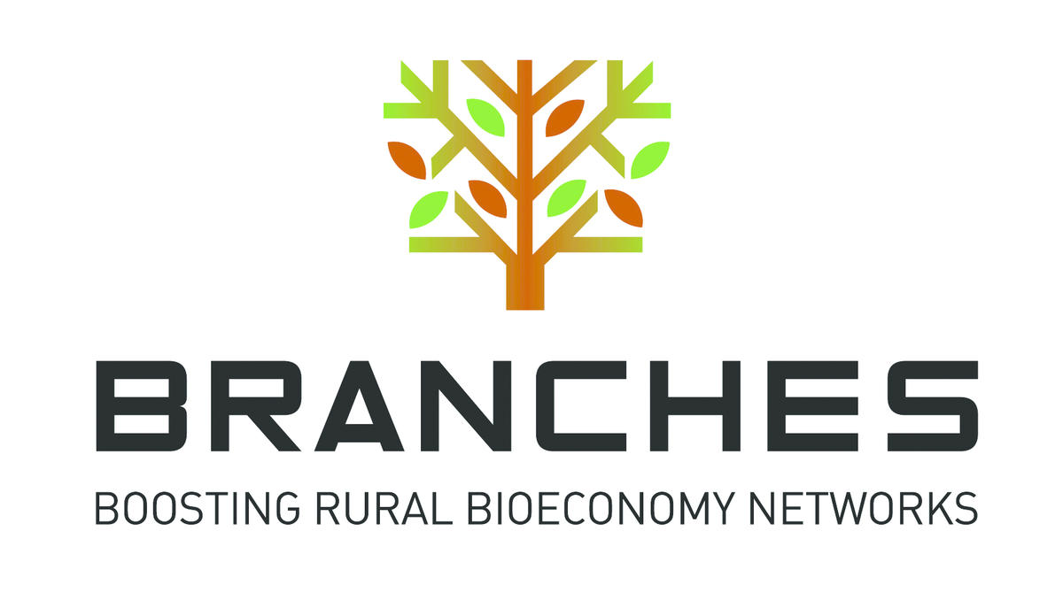Logo BRANCHES
